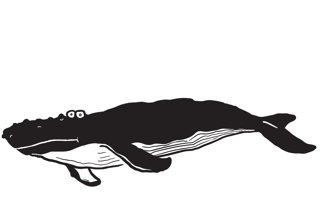 about us | steel string brewery